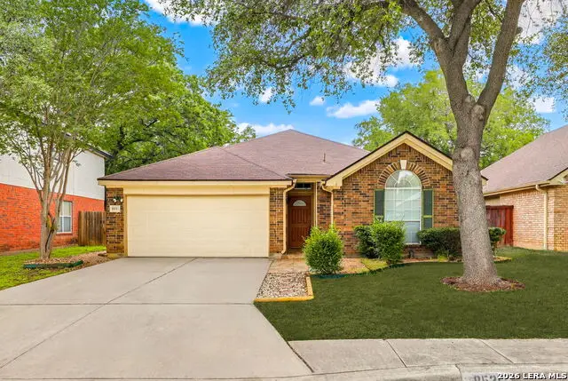8531 Quail Tree, San Antonio, TX 78250 - #1