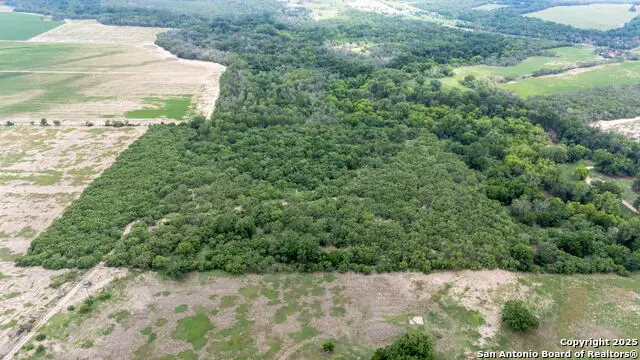 15828 Fm 775, Floresville, TX 78114 - #1