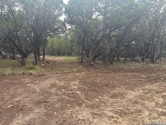 142 Aermotor, Boerne, TX 78006 - #3
