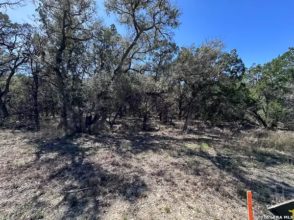 210 Tremaine, San Antonio, TX 78230