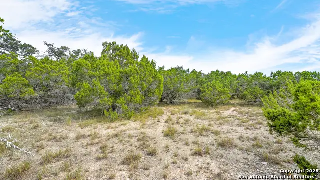 326 Vista View Place, Spring Branch, TX 78070 - #3