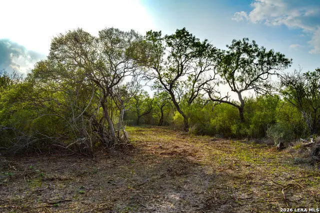 0 Cr 207, Pettus Pawnee, TX 78146 - #1