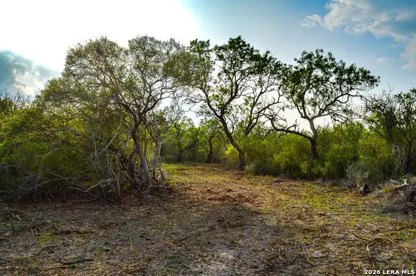 0 Cr 207, Tuleta, TX 78146