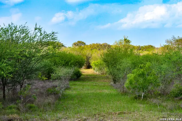 0 Cr 207, Pettus Pawnee, TX 78146 - #3