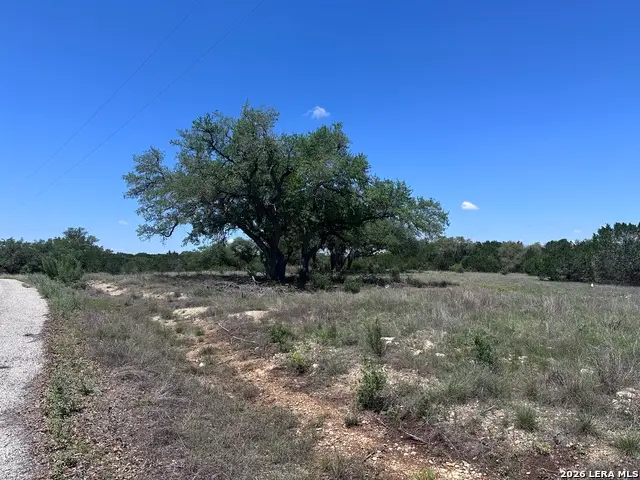322 Serenity Pass, Spring Branch, TX 78070 - #2