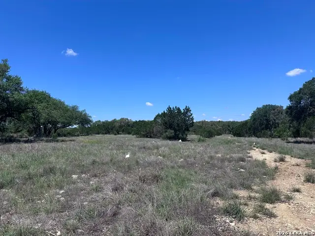 322 Serenity Pass, Spring Branch, TX 78070 - #3