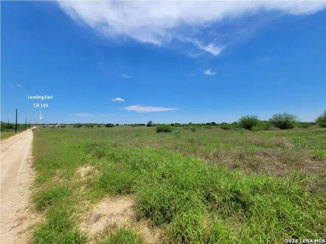 277 Joy Ln, Pleasanton, TX 78064 - #2
