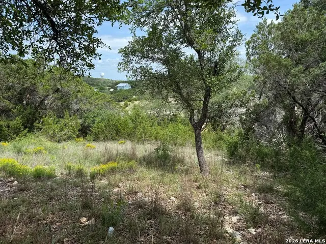 1264 High Hills Dr, Canyon Lake, TX 78133 - #1