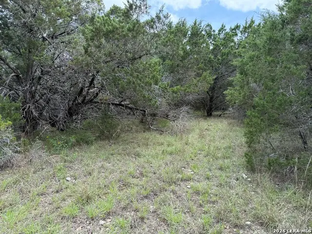 1264 High Hills Dr, Canyon Lake, TX 78133 - #2