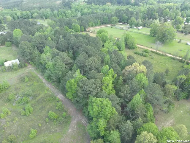 0 County Road 2228, Douglassville, TX 75560 - #3