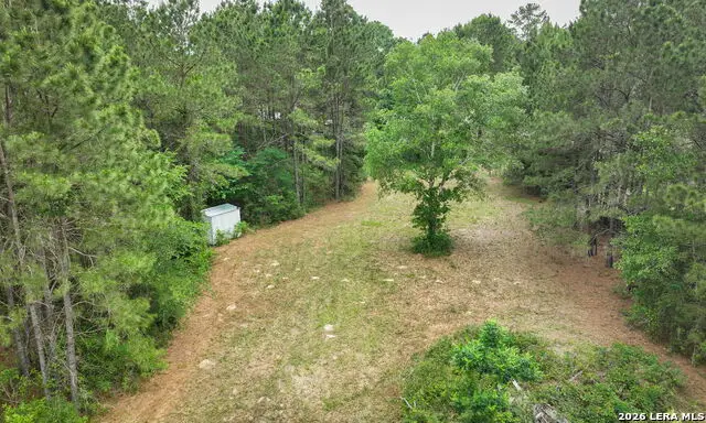 5914 Carter, Waller, TX 77484 - #2