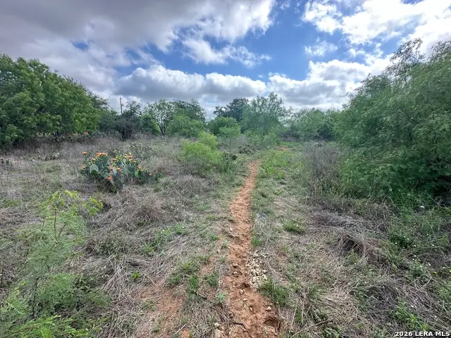 17603 Shepherd Rd, Atascosa, TX 78002 - #1