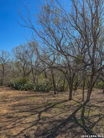 TRACT 3 Fm 539, La Vernia, TX 78121 - #2