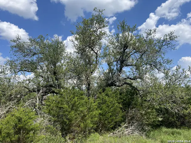 636 Rock Trail Pl, Spring Branch, TX 78070 - #1