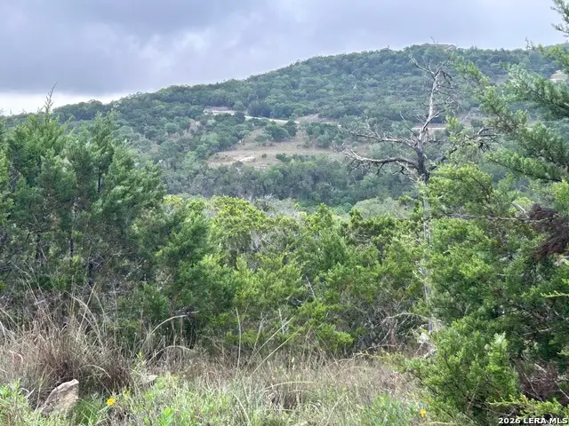 239 Estancia Ln, Boerne, TX 78006 - #2