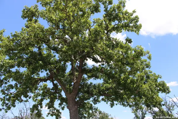 132 Pack Saddle Ln, Fredericksburg, TX 78624