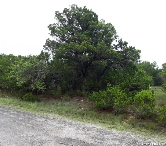 6705 Redwood Dr, Lago Vista, TX 78645 - #2