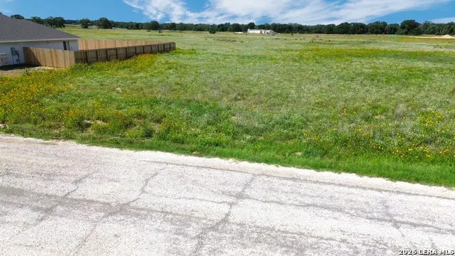237 Colonial Ln, La Vernia, TX 78121 - #3