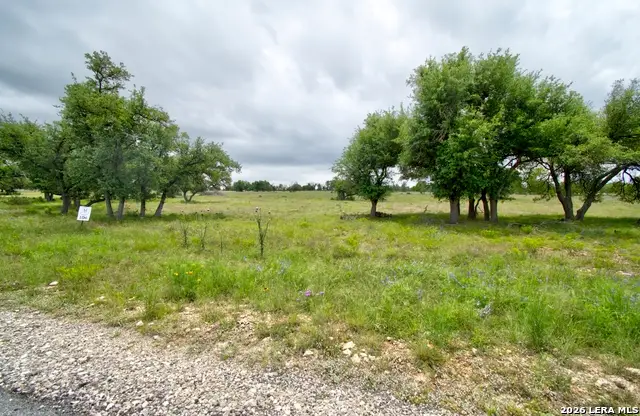 LOT 106 Oryx View Drive, Harper, TX 78631 - #3