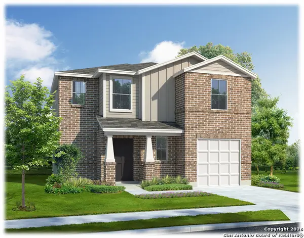 140 Laysan Albatross, San Antonio, TX 78253