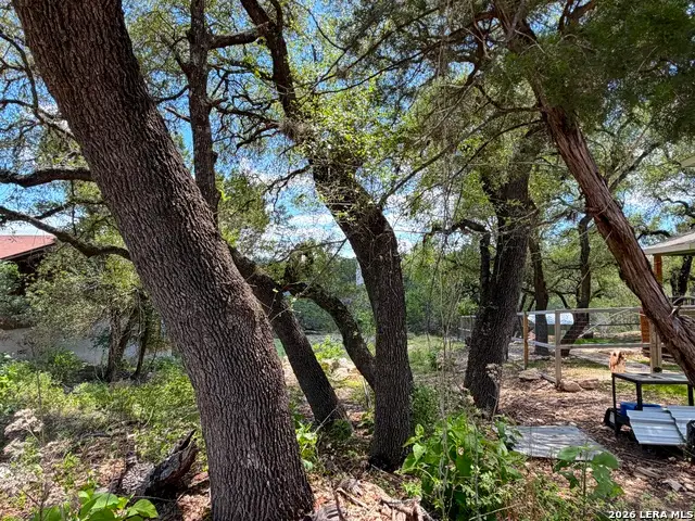 273 Scenic Dr., Canyon Lake, TX 78133 - #3