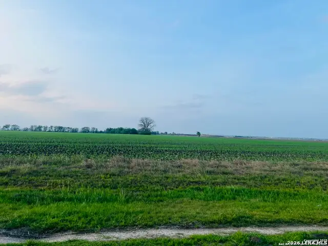 LOT 4 Lower Seguin, Marion, TX 78124 - #2