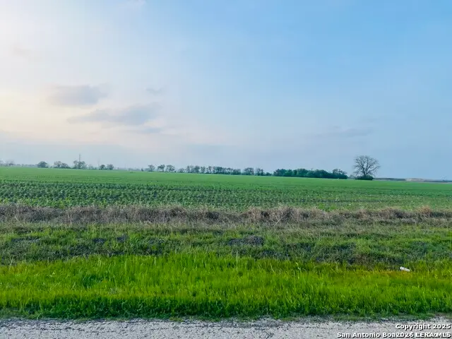 LOT 4 Lower Seguin, Marion, TX 78124 - #3