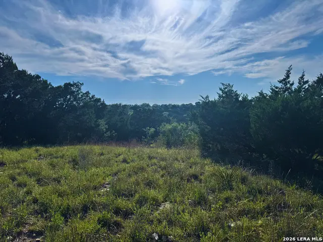 1013 Flint Ln, Spring Branch, TX 78070 - #2