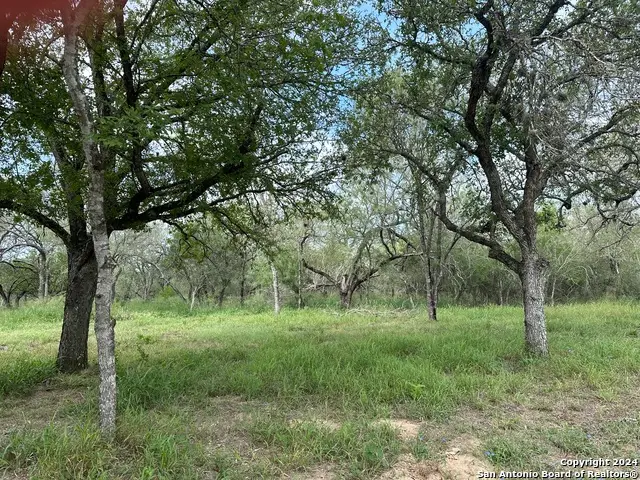 20588 S State Highway 16, Von Ormy, TX 78073 - #1