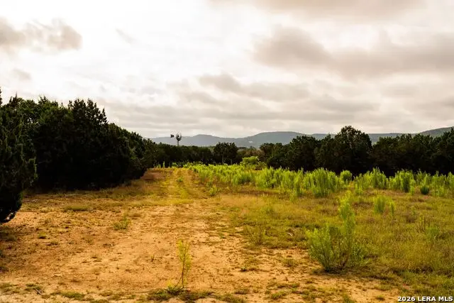 3584 Privilege Creek Road, Pipe Creek, TX 78063 - #1