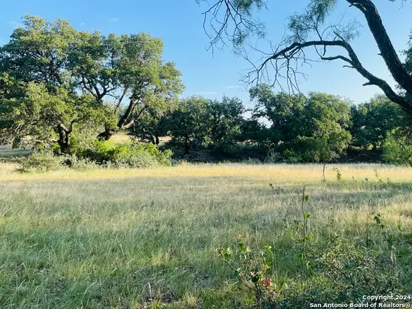 1542 Elm Springs Trl, Menard, TX 76859