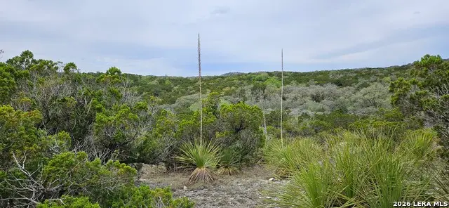 21207 Scenic Loop, Helotes, TX 78023 - #2