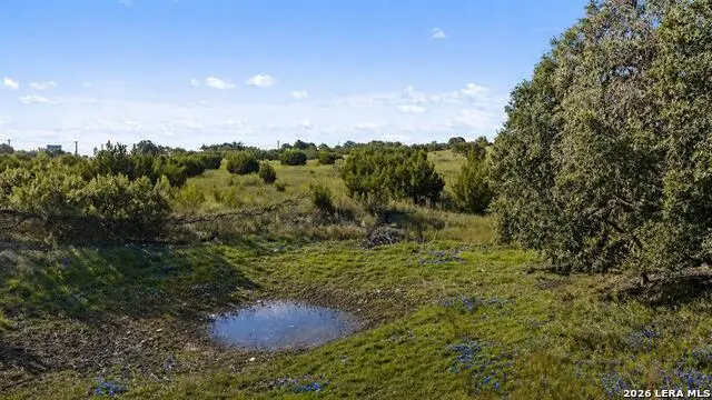 386 Appaloosa Run, Round Mountain, TX 78663 - #1