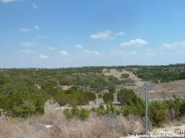 564 Rock Trail Pl, Spring Branch, TX 78070 - #3