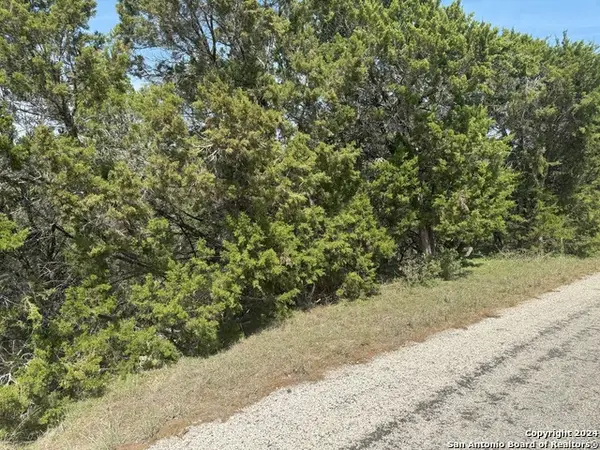 413 Cedar Dr, Canyon Lake, TX 78133