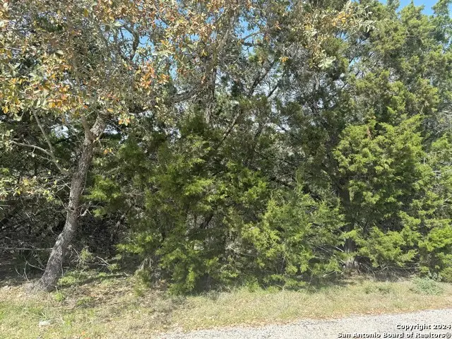 413 Cedar Dr, Canyon Lake, TX 78133 - #2