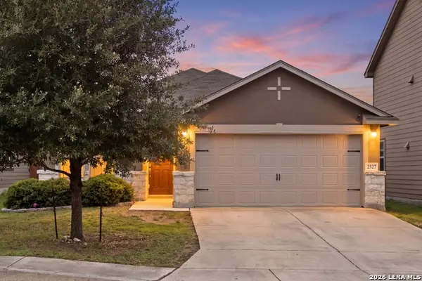 2527 Gato Del Sol, San Antonio, TX 78245