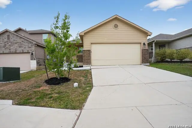 3917 Asher Aly, Saint Hedwig, TX 78152 - #1