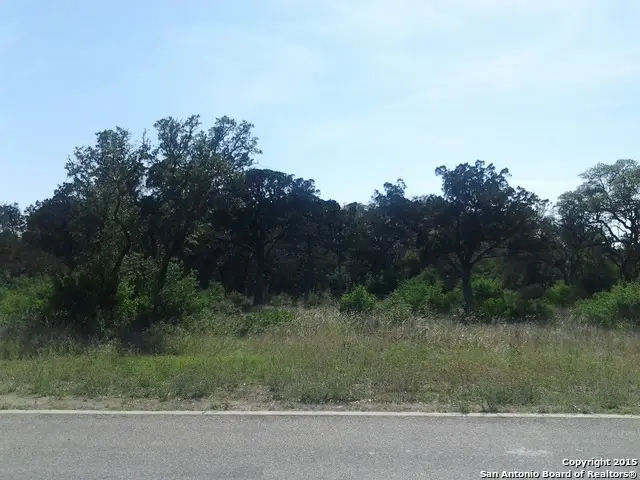 20007 Terra Canyon, San Antonio, TX 78255 - #3