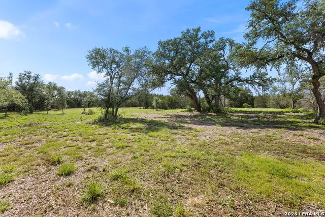 34230 Stahl Ln, Bulverde, TX 78163 - #3