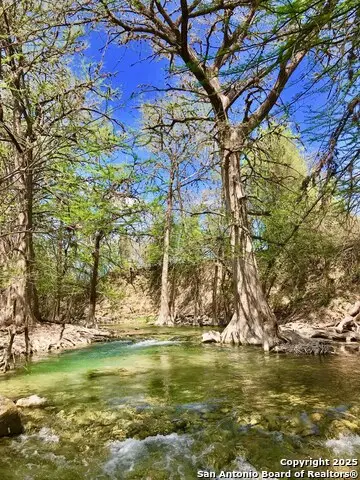 173 Pvt Rd 3820, Utopia, TX 78884 - #3