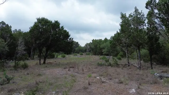 1240 Happy Hollow Dr, New Braunfels, TX 78132 - #1