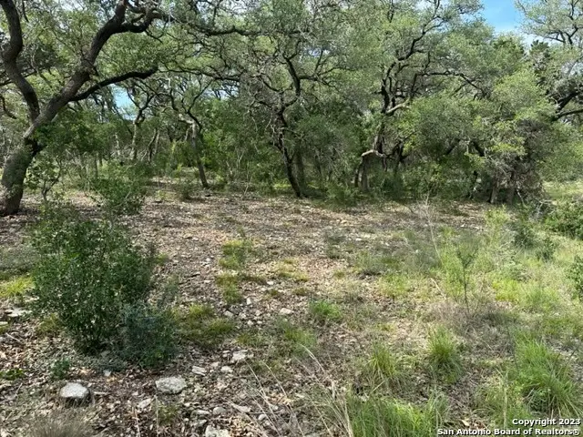 20330 Bobwhite Run, San Antonio, TX 78256 - #1