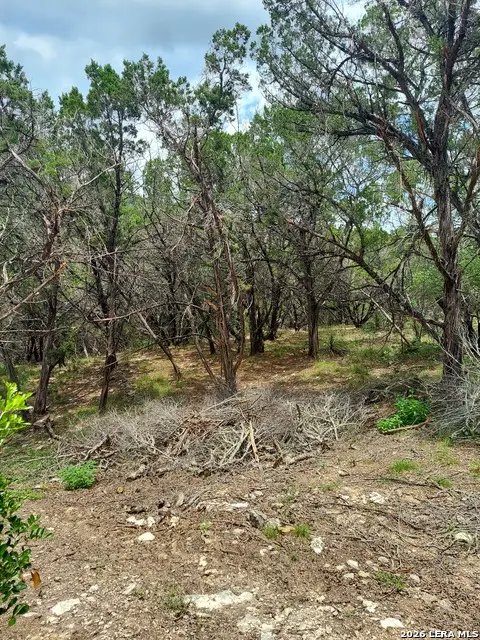 LOT 10 Canyon, Lakehills, TX 78063 - #1