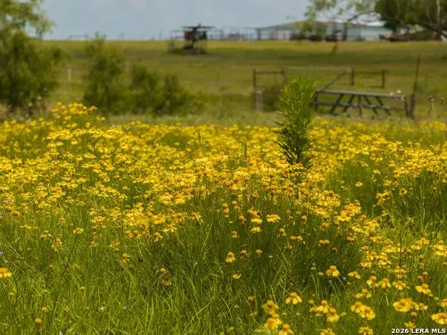 13841 Fm 775, La Vernia, TX 78121 - #3