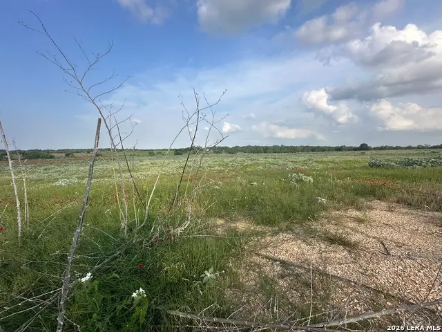 230 County Road 476, Stockdale, TX 78160 - #3