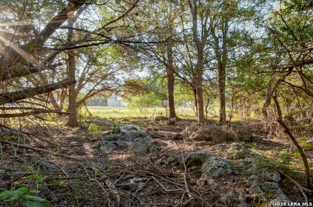 315 Rittimann Rd, Spring Branch, TX 78070 - #3