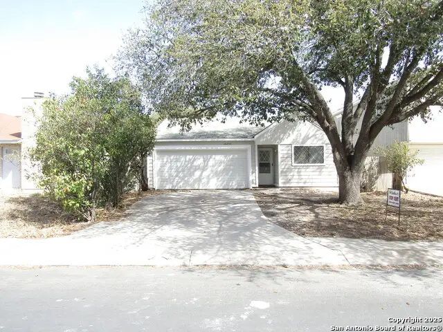 10243 Raven Field, San Antonio, TX 78245 - #1