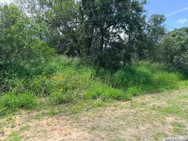 25141 Sandview, San Antonio, TX 78264 - #2