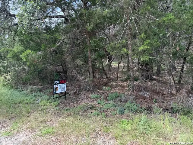 2424 Cypress Gardens Blvd, Spring Branch, TX 78070 - #1